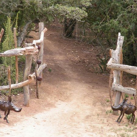 Addo Dung Beetle Guest Farm Villa Exteriör bild