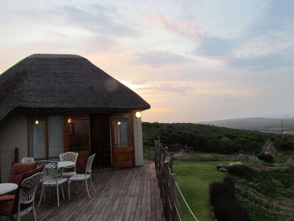 Addo Dung Beetle Guest Farm Villa Exteriör bild