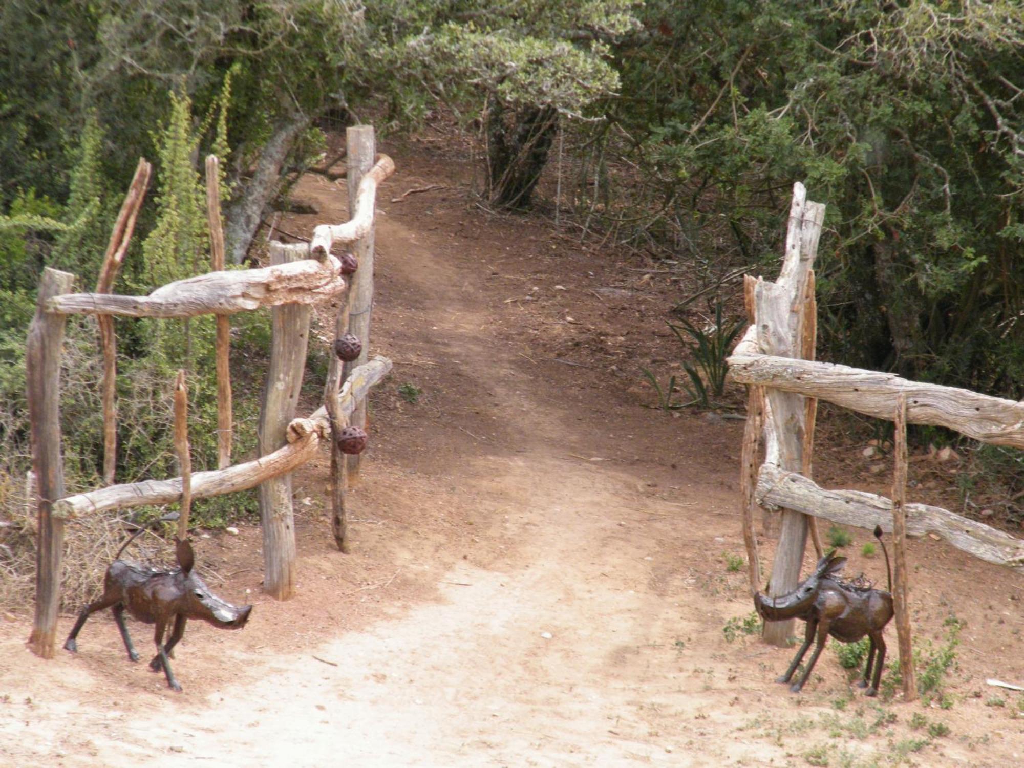 Addo Dung Beetle Guest Farm Villa Exteriör bild