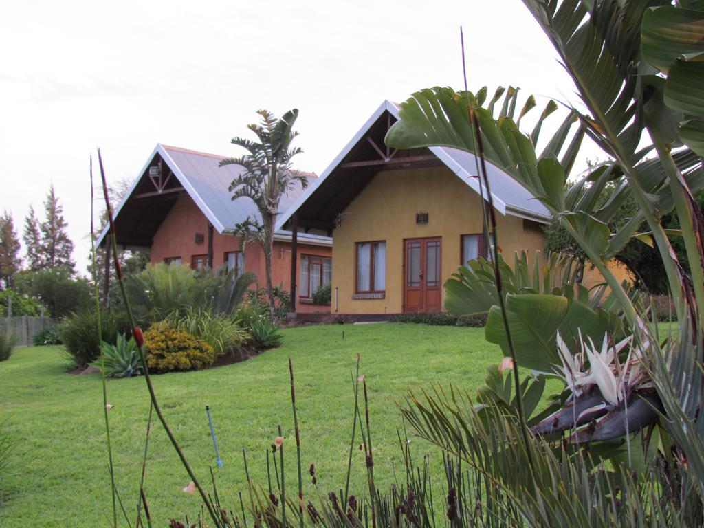 Addo Dung Beetle Guest Farm Villa Rum bild