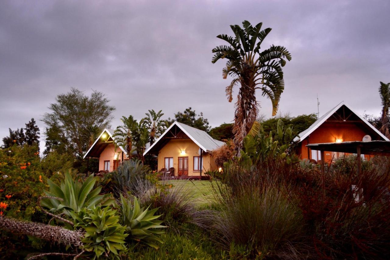 Addo Dung Beetle Guest Farm Villa Exteriör bild