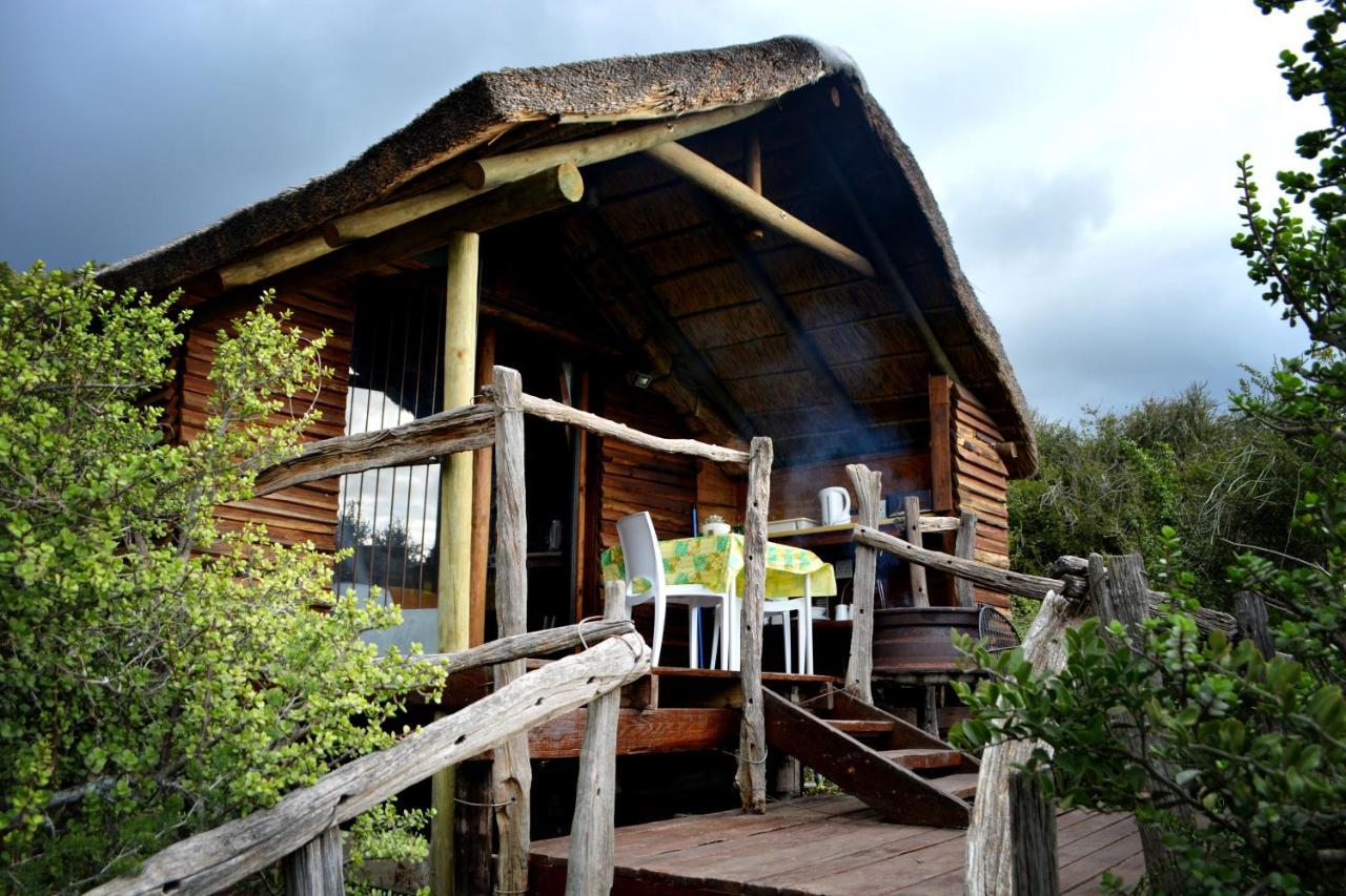 Addo Dung Beetle Guest Farm Villa Exteriör bild