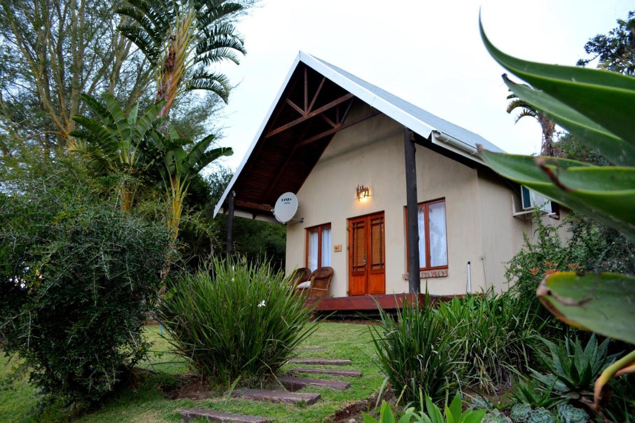 Addo Dung Beetle Guest Farm Villa Exteriör bild