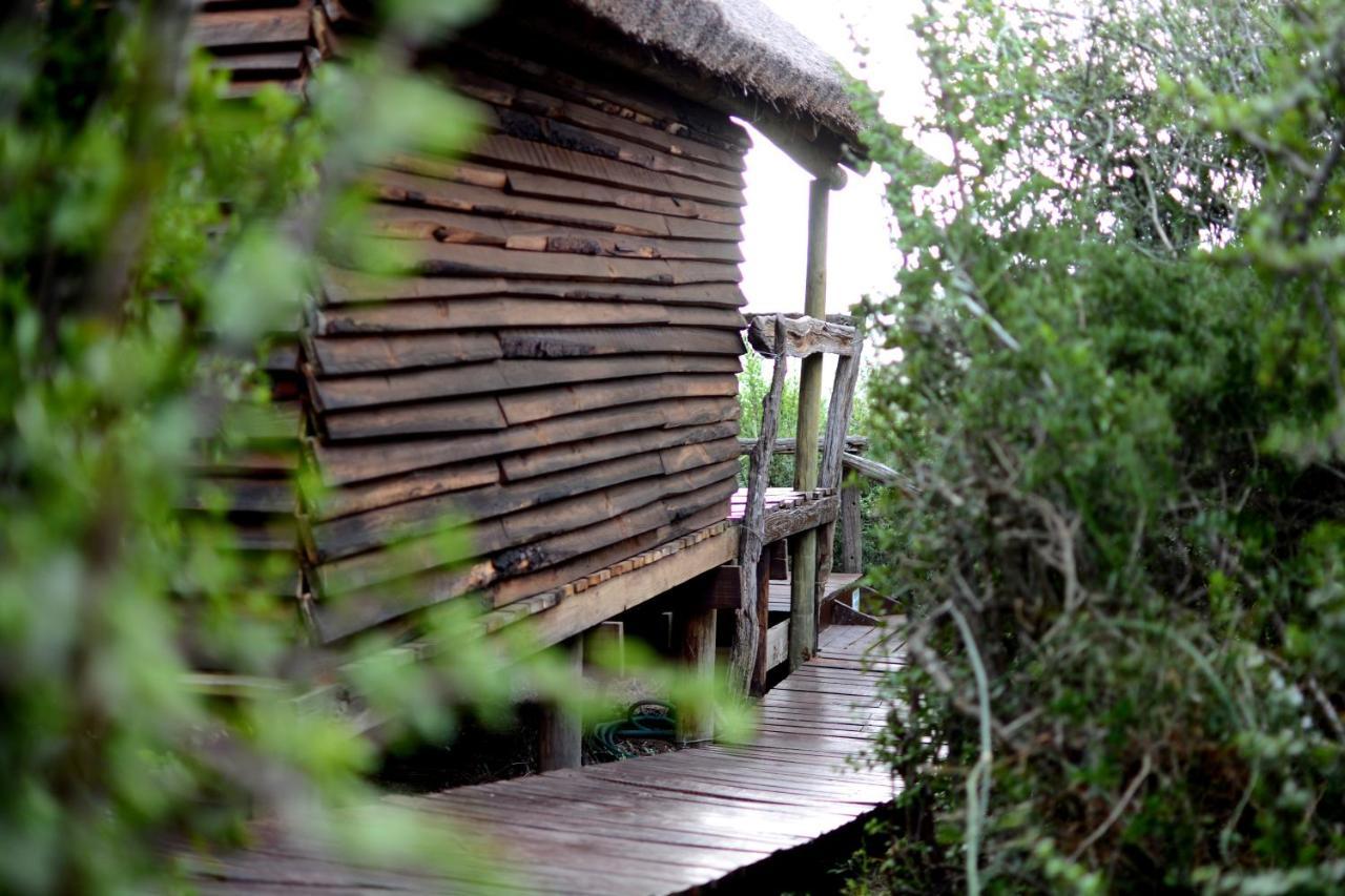 Addo Dung Beetle Guest Farm Villa Exteriör bild