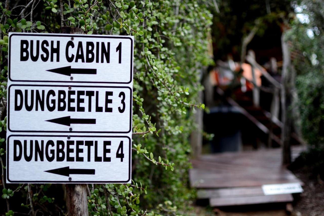 Addo Dung Beetle Guest Farm Villa Exteriör bild